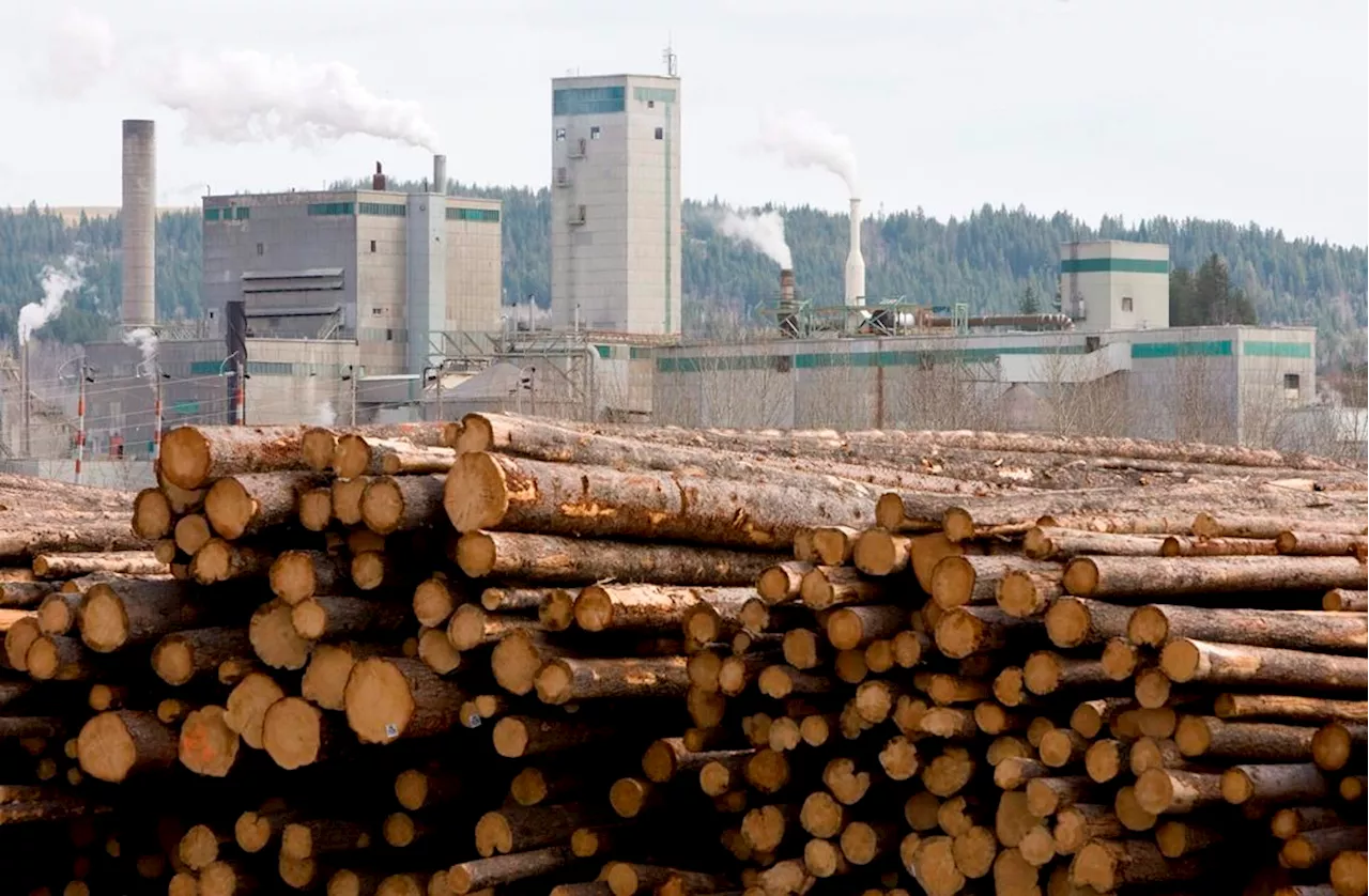 West Fraser and Mercer International dissolve joint venture in Cariboo Pulp and Paper