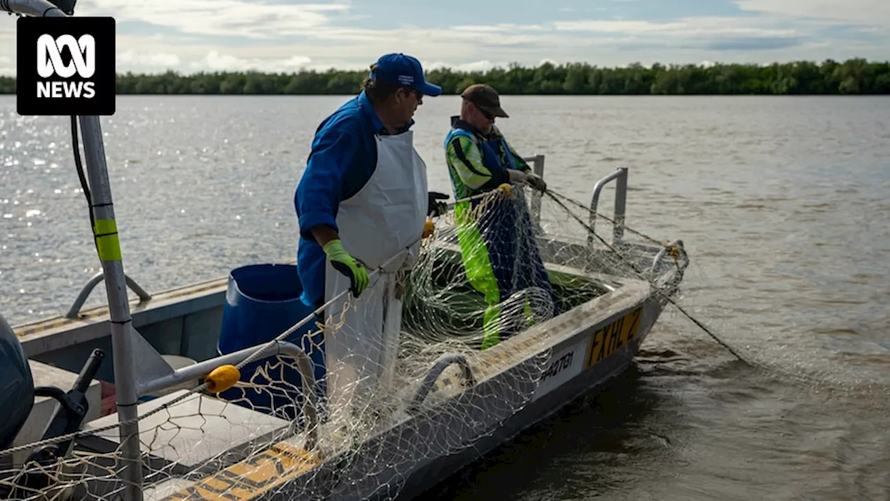 Fishing has supported generations of people in remote Karumba but could soon end with gillnet ban