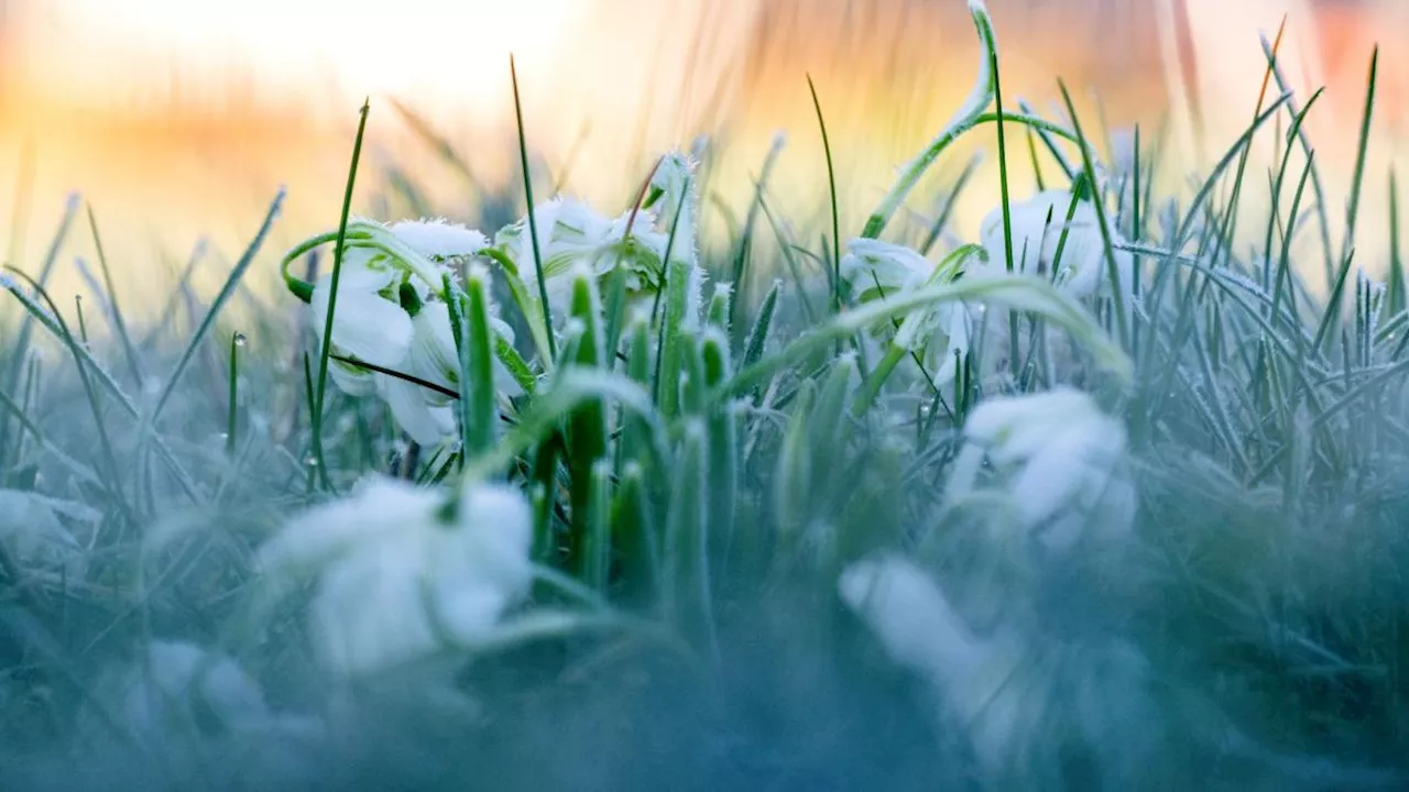 Wintereinbruch und Glätte-Unfälle in Bayern