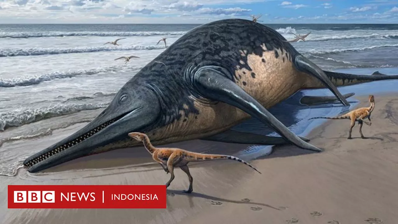 Arkeologi: Fosil reptil laut purba seukuran dua bus ditemukan di pantai Inggris