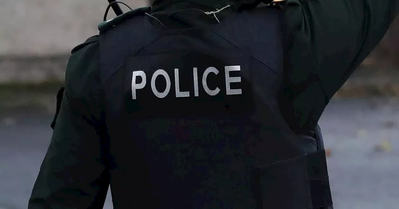 Co Down arrest after alleged assault at retail premises