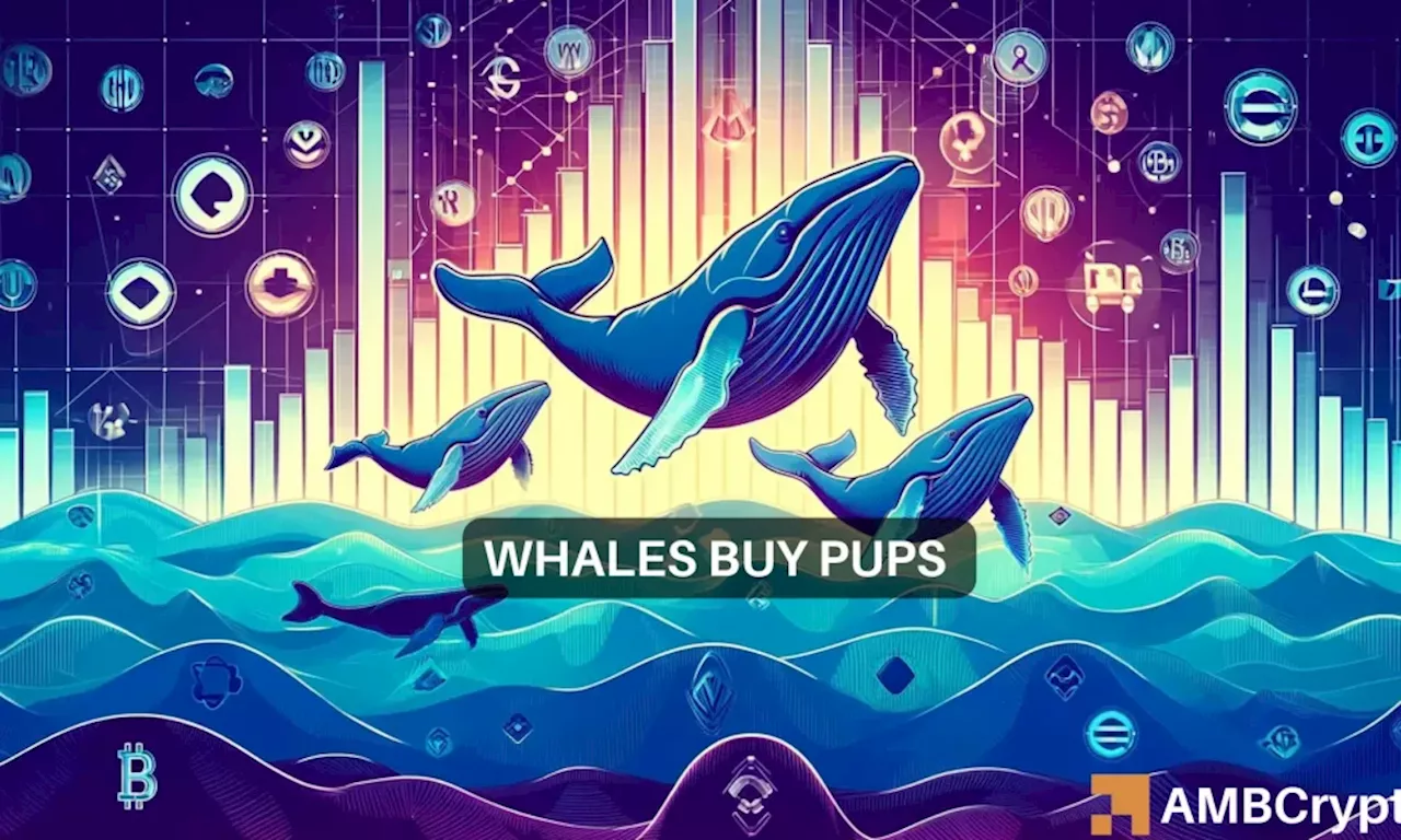 Solana-based memecoins WIF, BODEN’s whales are moving to PUPS