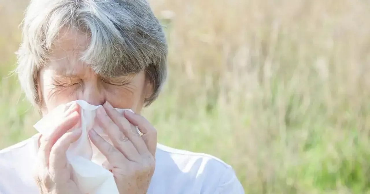 Expert explains how to tell the difference between common cold and hay fever