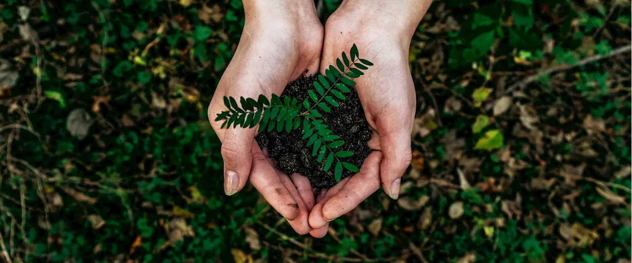 President Nixon, a college student, and a Wisconsin senator: How Earth Day came to be