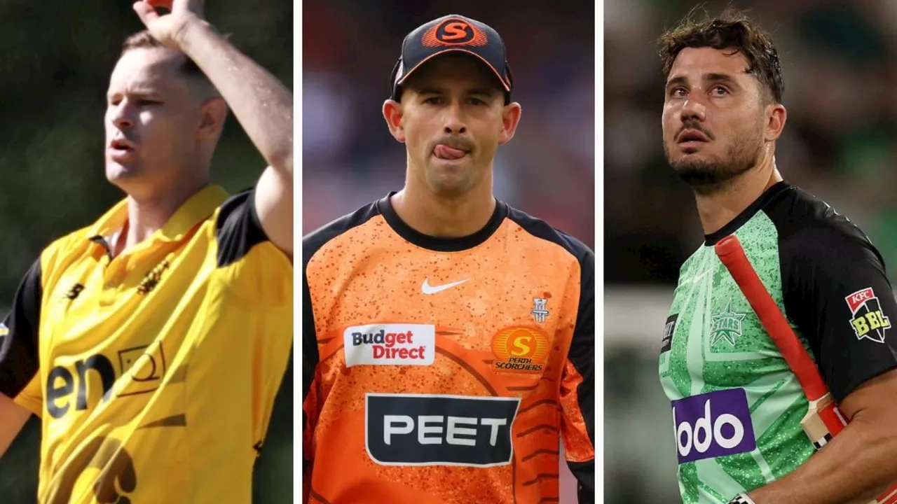 Four Aussie cricket stars forgo state contracts to become T20 guns-for-hire