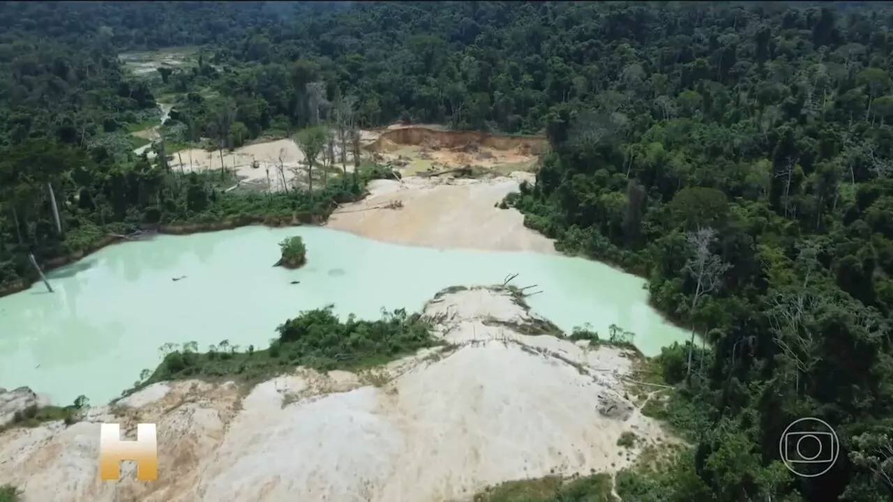 Garimpeiros ilegais fogem a pé pela floresta durante operação na Terra Indígena Yanomami