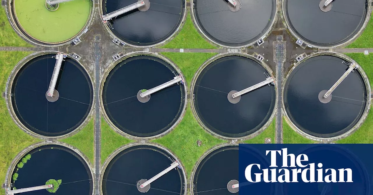 ‘Dirty secret’: insiders say UK water firms knowingly break sewage laws