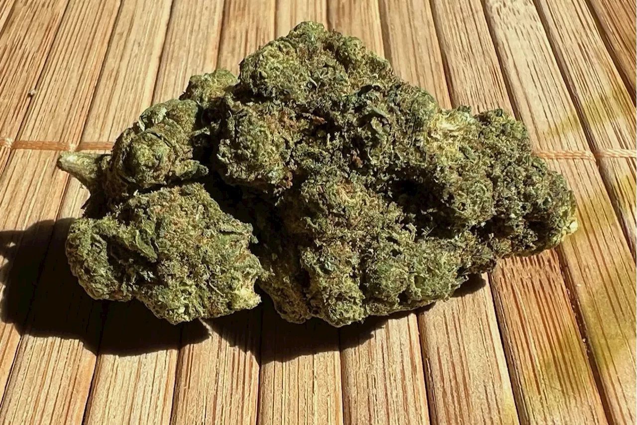 Medizinalcannabis Strain Review: avaay 22/1 LSB