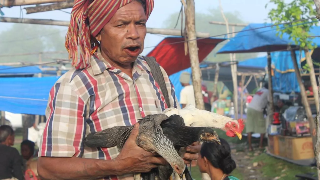 Menanti Langkah Melki, Ansy, dan Esthon di Pilgub NTT, Siapa Berani Ambil Risiko?