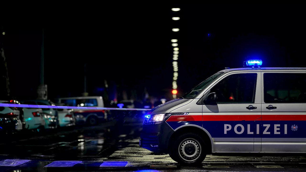 Duo attackiert Mann (25) in Wien mit Stangen und Schere