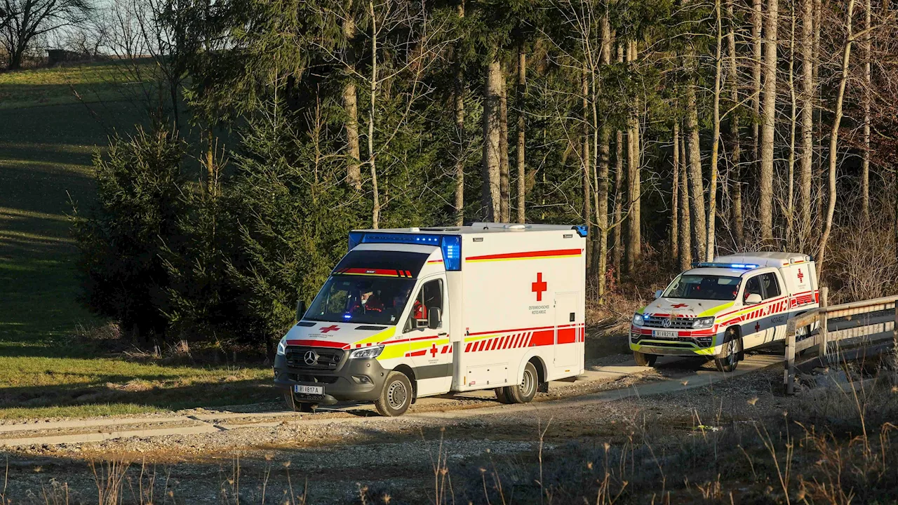 Mann (83) stürzt in Bach – Fußgängerin hört Hilfeschrei