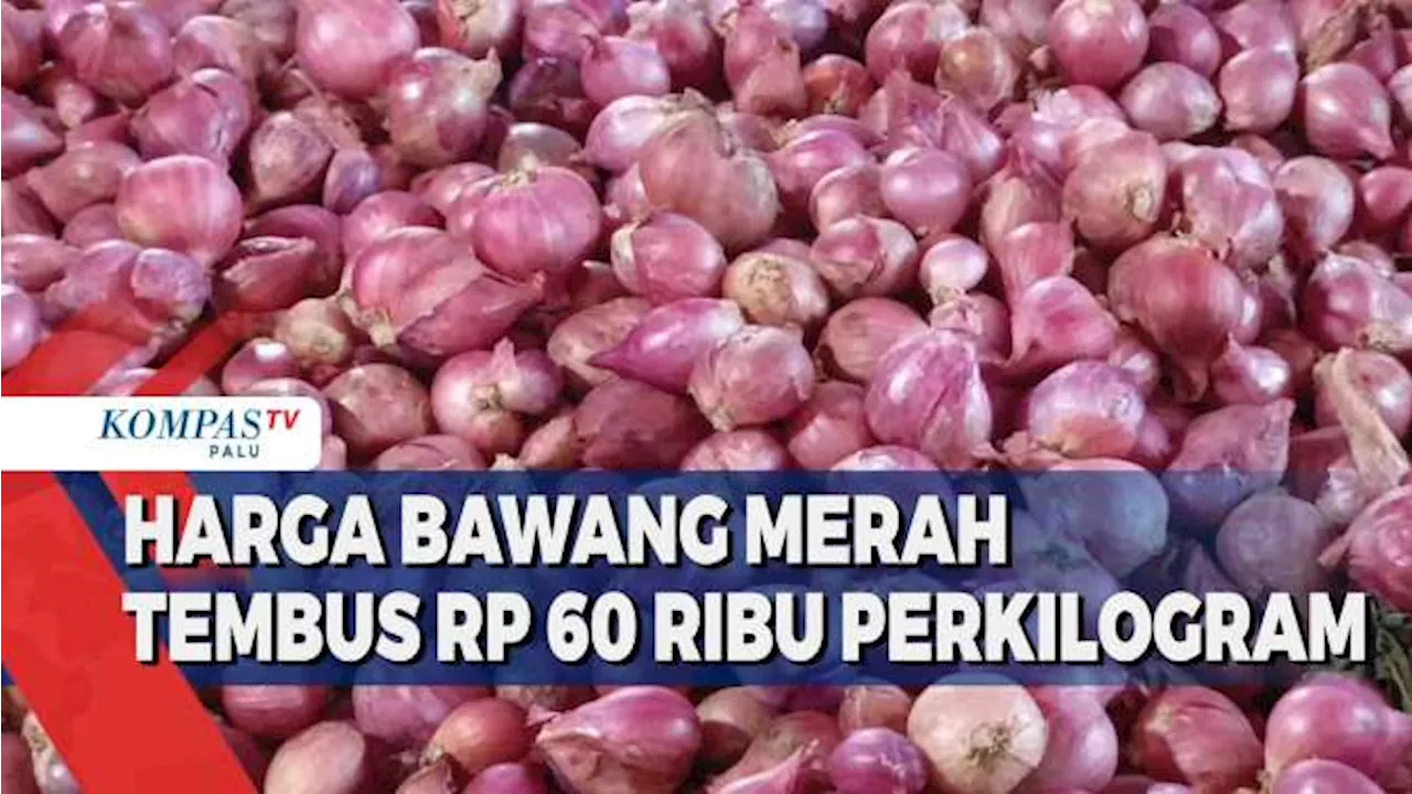 Harga Bawang Merah Tembus Rp 60.000 Perkilogram