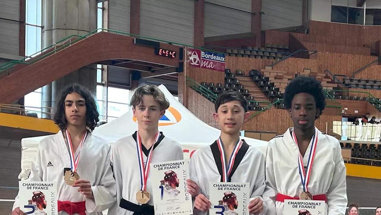 Saint-Lys. Andreas Lepape, nouveau champion de France junior de taekwondo