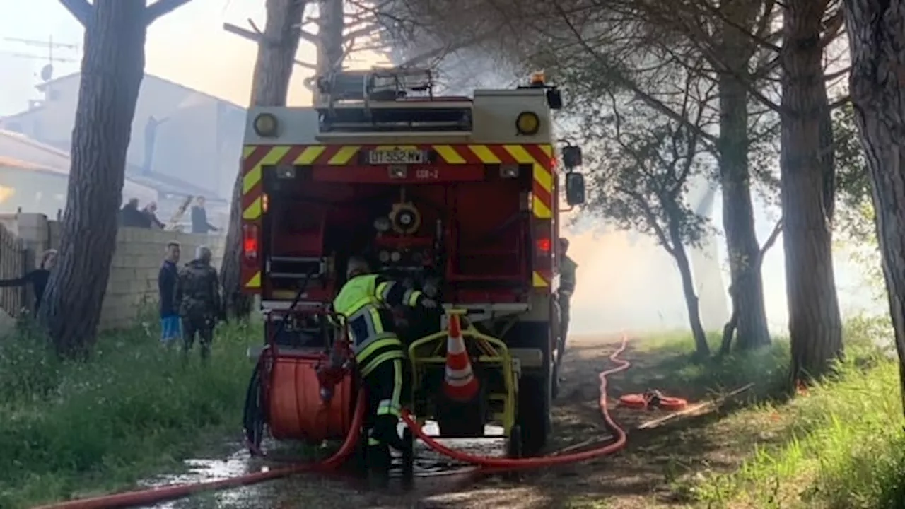 Salin-de-Giraud : un feu se déclenche suite au 'mauvais entretien' d'une forêt