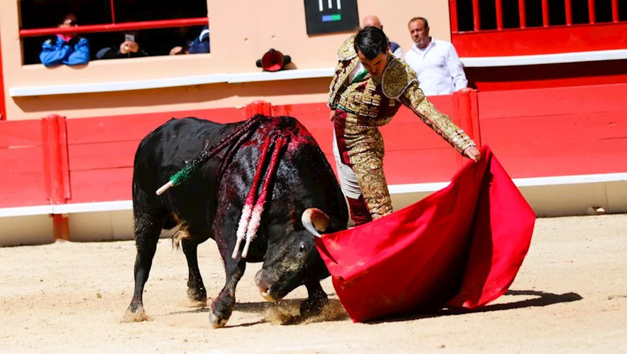 La volonté de Jaume et Niño Julian face à un lot important de Valverde pour la matinale.