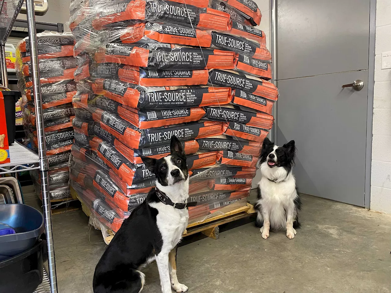 Operation Kindness to host free pet food pantry drive-thru