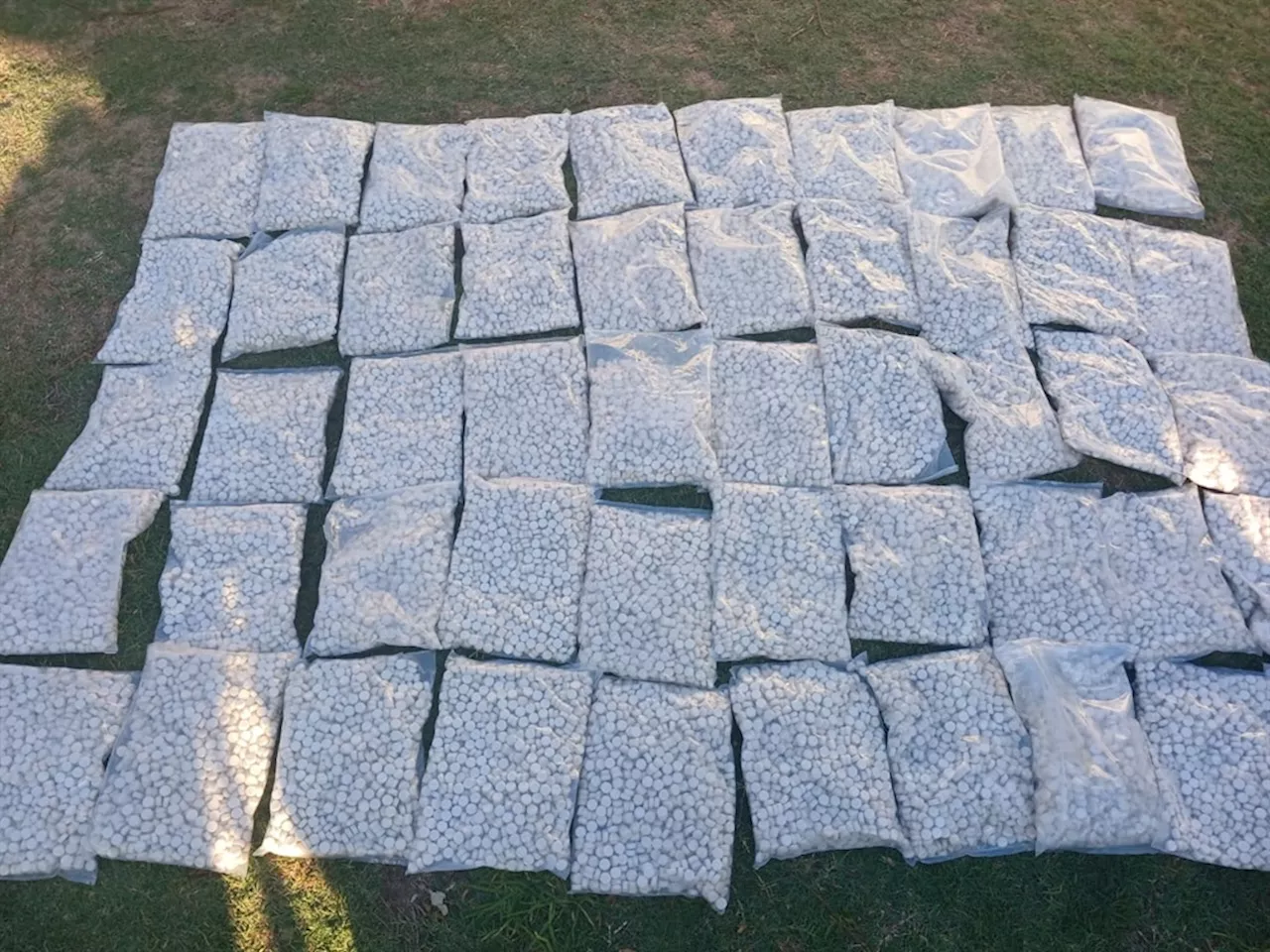 Cape Town police seize drugs worth R2m from motorist en route from Eastern Cape