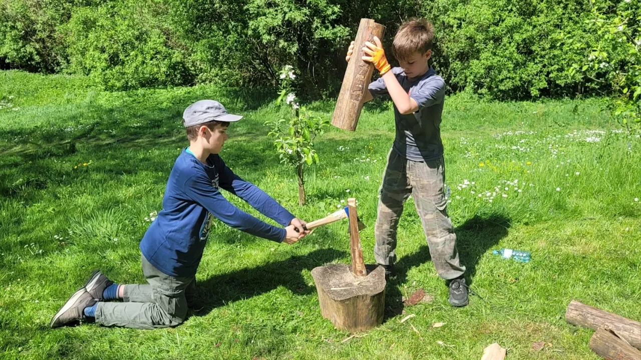 Workshop in Kierling: Axt, Säge und Schnitzmesser