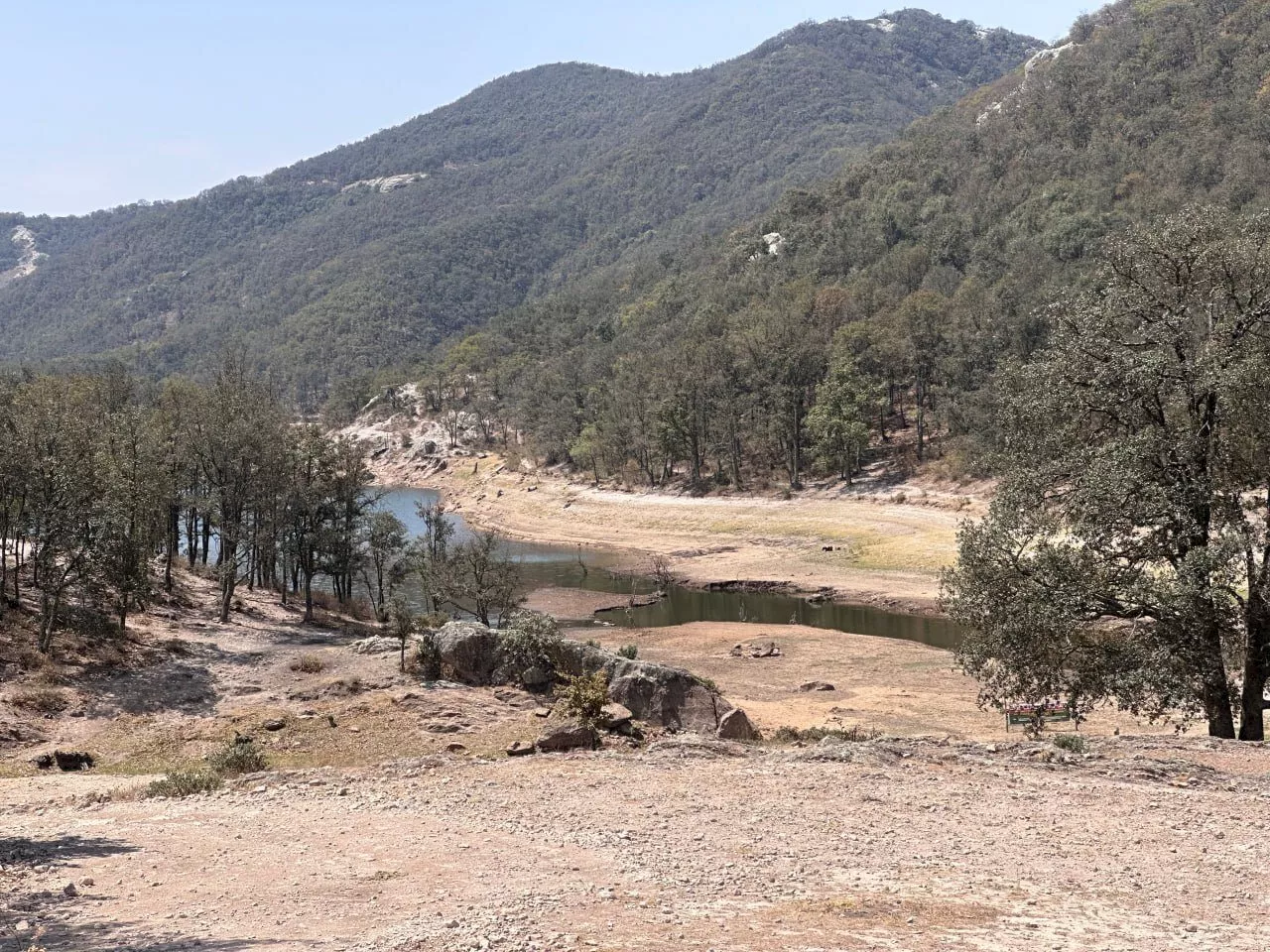 Presa de Peralillo, tesoro turístico en Guanajuato, desaparece ‘poco a poco’ por la sequía