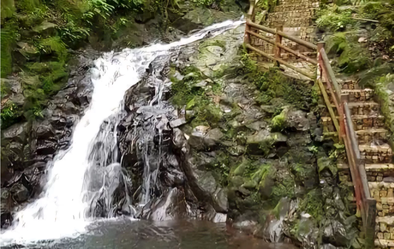 Exploring an avian haven in Victorias’ Gawahon Ecopark