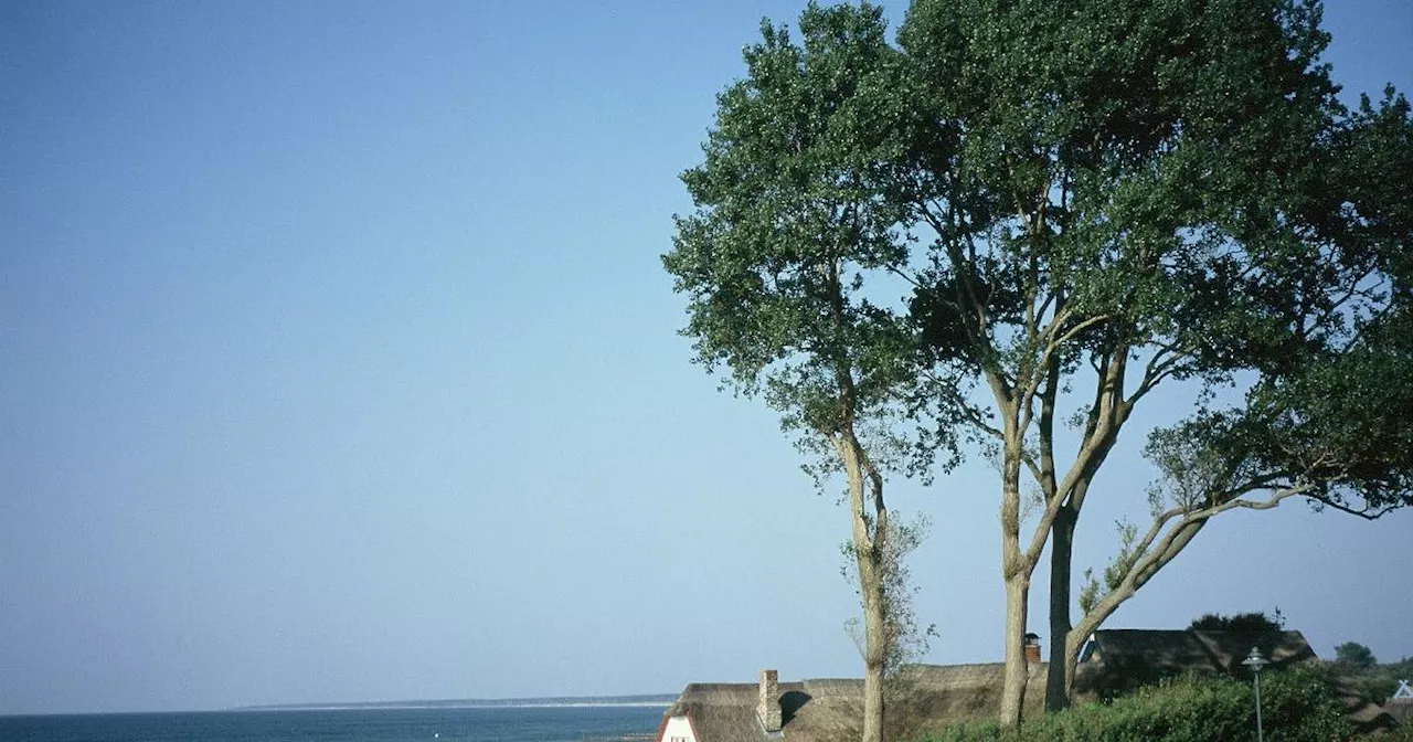 Fischland-Darß-Zingst: Inselparadies an der Ostsee