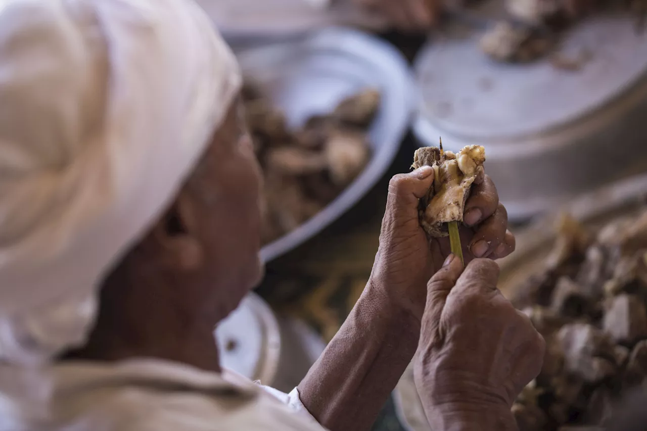 خبير اقتصادي يتحدث عن توقعاته للأسعار في مصر بعد التخلص من السوق السوداء