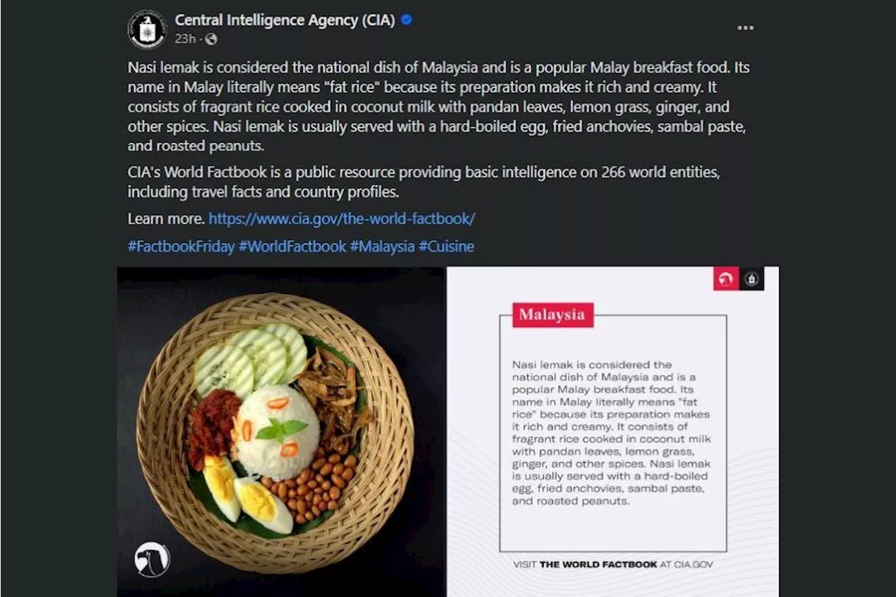 Nasi lemak featured in CIA's World Factbook, agency translates it as 'fat rice'