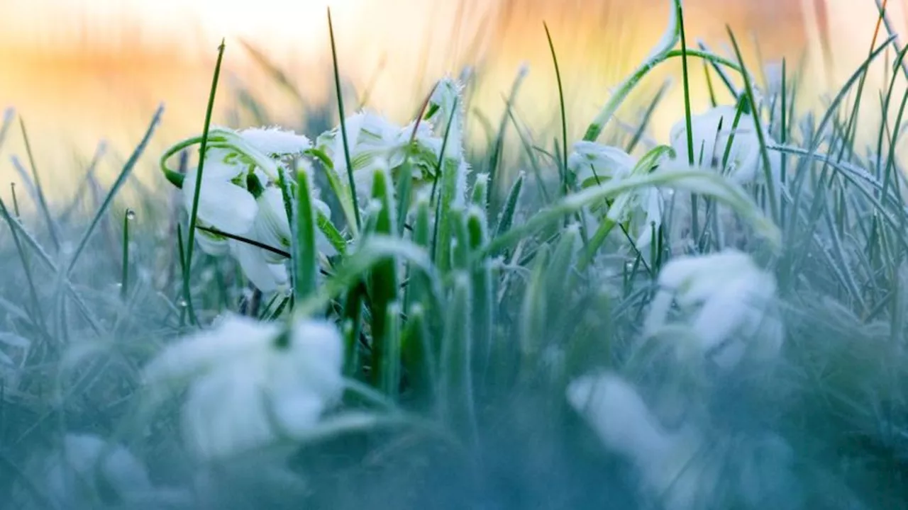 Wetter: Regen, Schnee und Graupel in Bayern