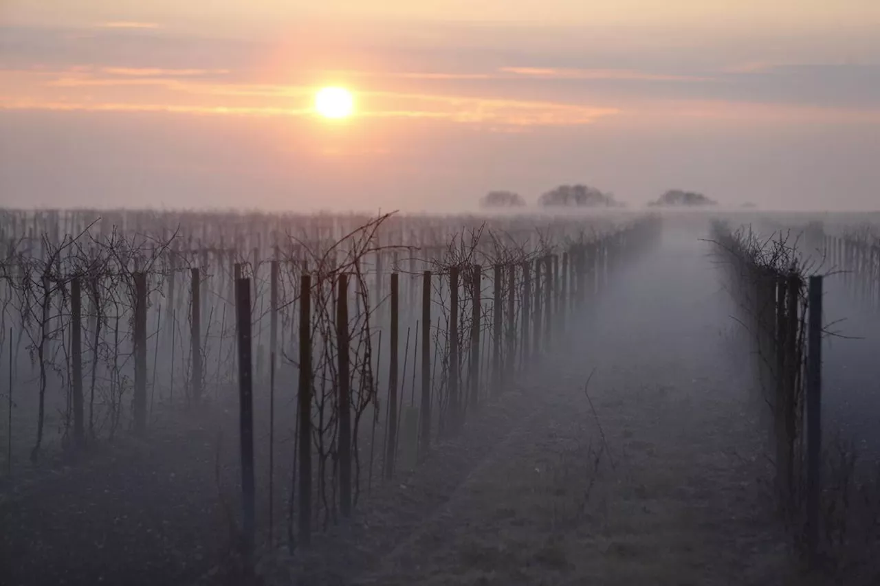 Pic de fraîcheur, gelées, temps hivernal… À quoi faut-il s’attendre la semaine prochaine ?