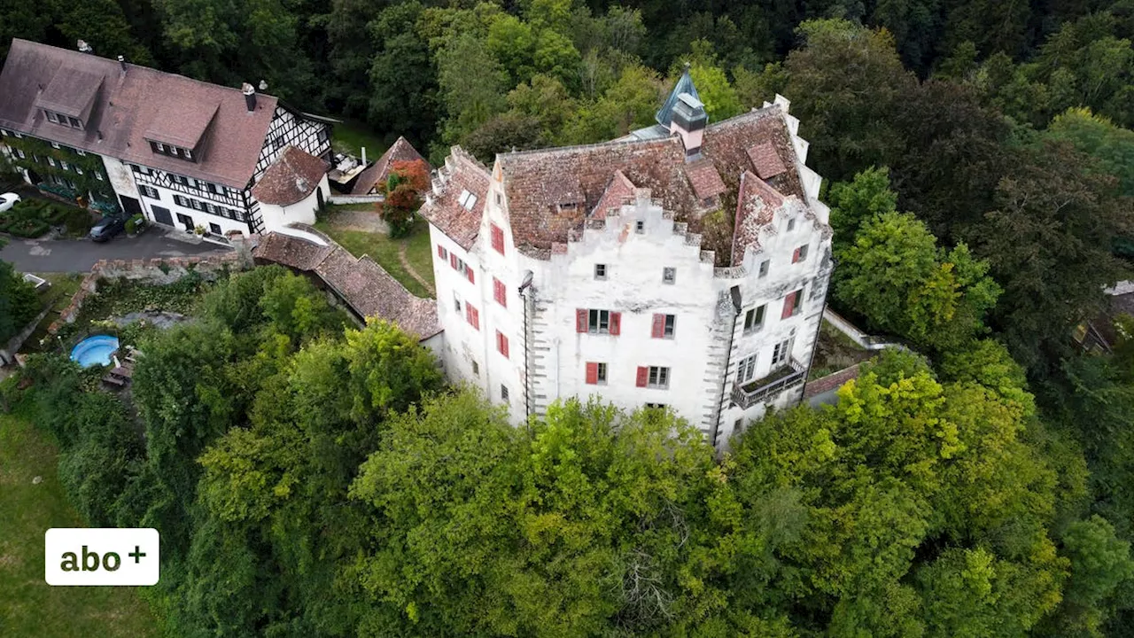 Die Perlen am Untersee: Der etwas andere Blick auf Schlösser und solche, die gar keine sind