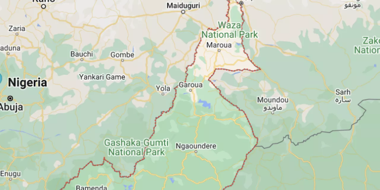 Cameroon humanitarians freed after 100 days in captivity in Nigeria