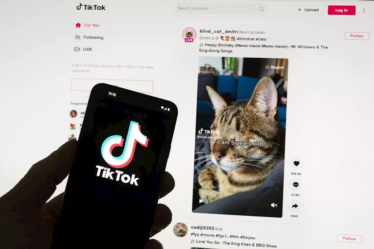 A bill that could ban TikTok advances to the Senate. What’s next?