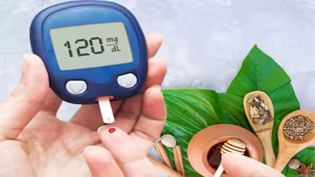 Blood Sugar Control Tips: ಆಯುರ್ವೇದದ ಮೂಲಕ ಮಧುಮೇಹವನ್ನು ಹೇಗೆ ನಿಯಂತ್ರಿಸಬೇಕು? ಇಲ್ಲಿವೆ ಕೆಲ ಆಯುರ್ವೇದ ಗಿಡಮೂಲಿಕೆಗಳು!