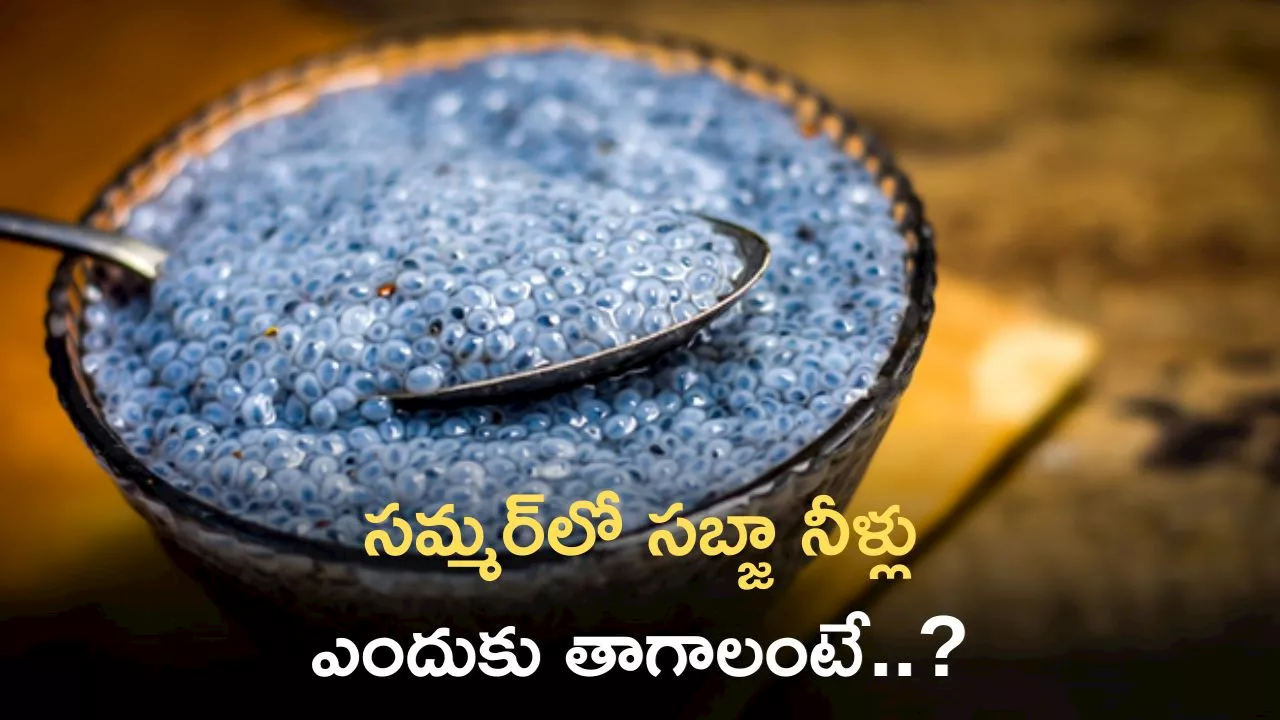 Basil Seeds Drink Benefits: సమ్మర్‌లో సబ్జా నీళ్లు ఎందుకు తాగాలంటే..? ఈ విషయాలు తప్పకుండా తెలుసుకోండి!