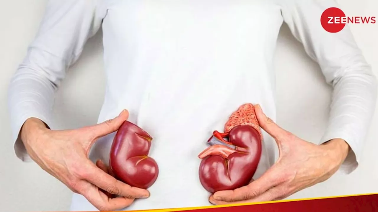 Kidney Problem: ಕಿಡ್ನಿ ಬಗ್ಗೆ ಕಾಳಜಿ ವಹಿಸದಿದ್ದರೆ ನಿಮ್ಮ ಪ್ರಾಣವೇ ಹೋಗುತ್ತೆ..!