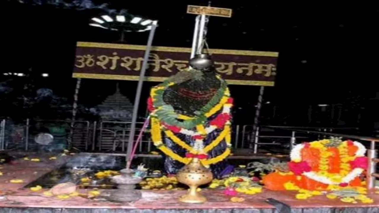 Shani Dev: ಶನಿದೇವನಿಗೆ ಎಣ್ಣೆಯನ್ನು ಏಕೆ ಅರ್ಪಿಸಲಾಗುತ್ತದೆ? ಧಾರ್ಮಿಕ ಮಹತ್ವ ತಿಳಿಯಿರಿ