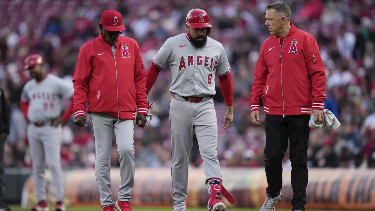 Angels third baseman Anthony Rendon placed on 10-day injured list with strained left hamstring