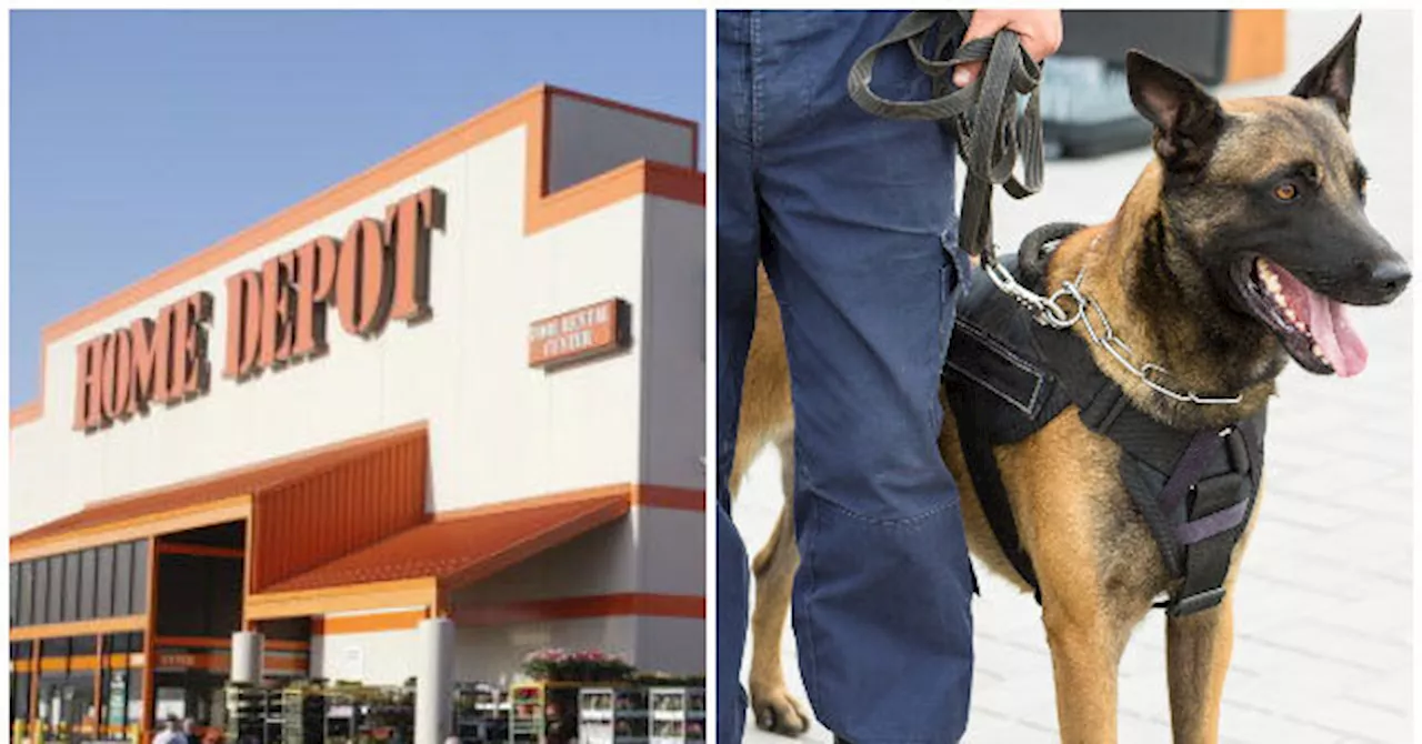 PHOTO: New York Home Depot Hires Guards with German Shepherd to Deter ‘Aggressive’ Migrants and Thieves