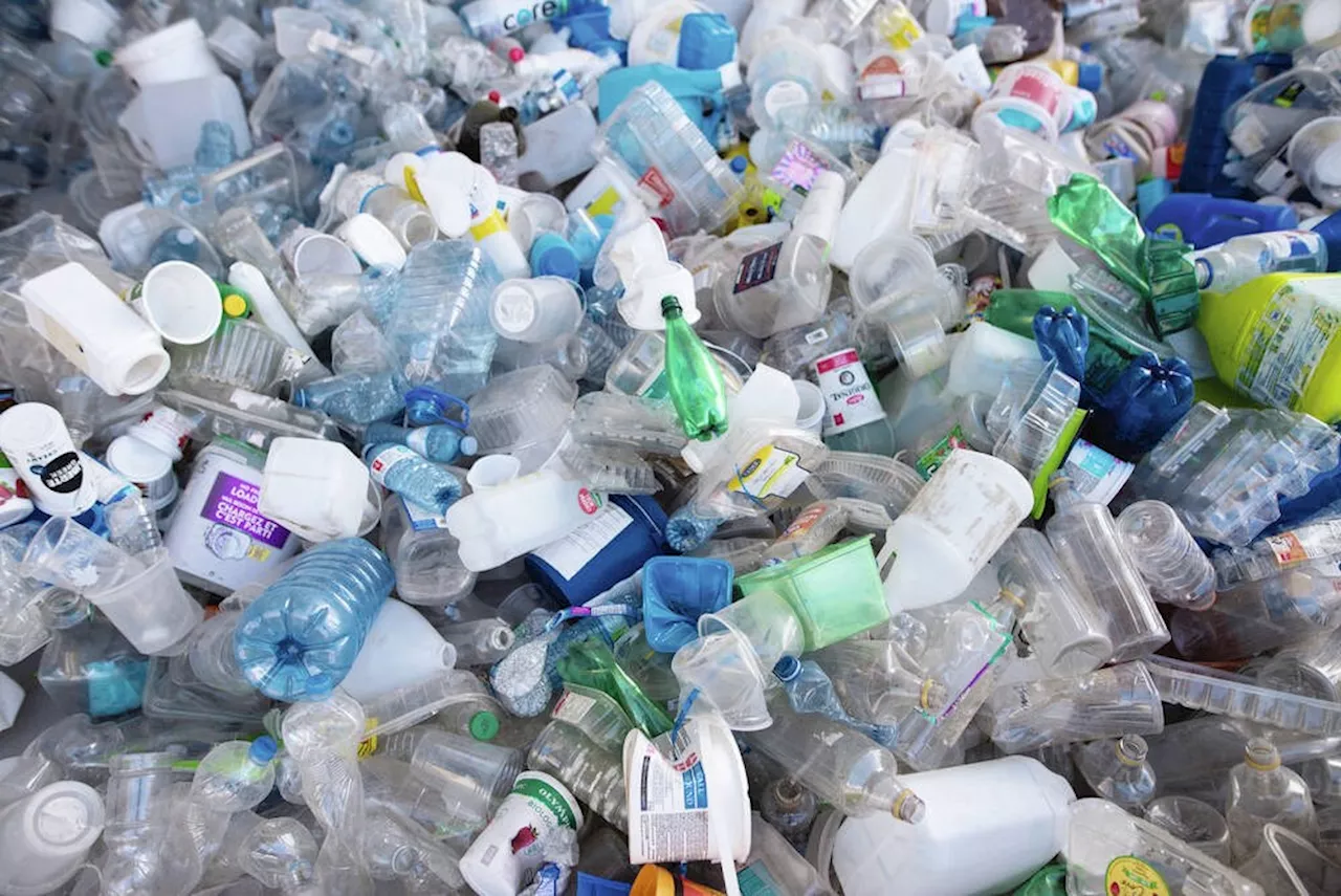 Trevor Hancock: Our addiction to plastics will come back to haunt us