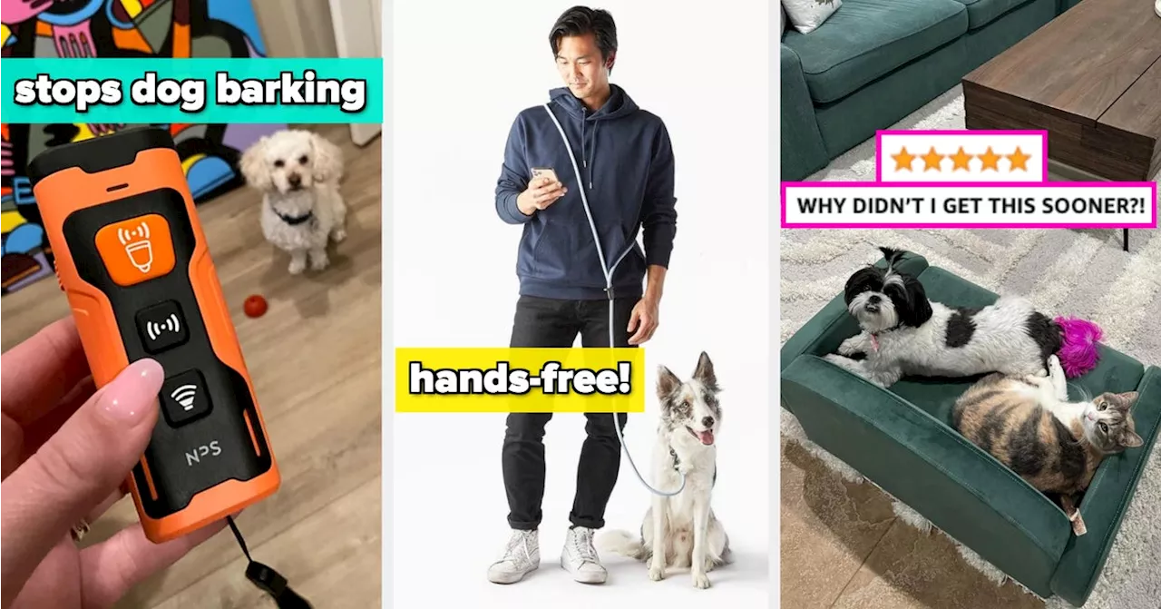 30 Of The Coolest Pet Products I've Seen In 2024