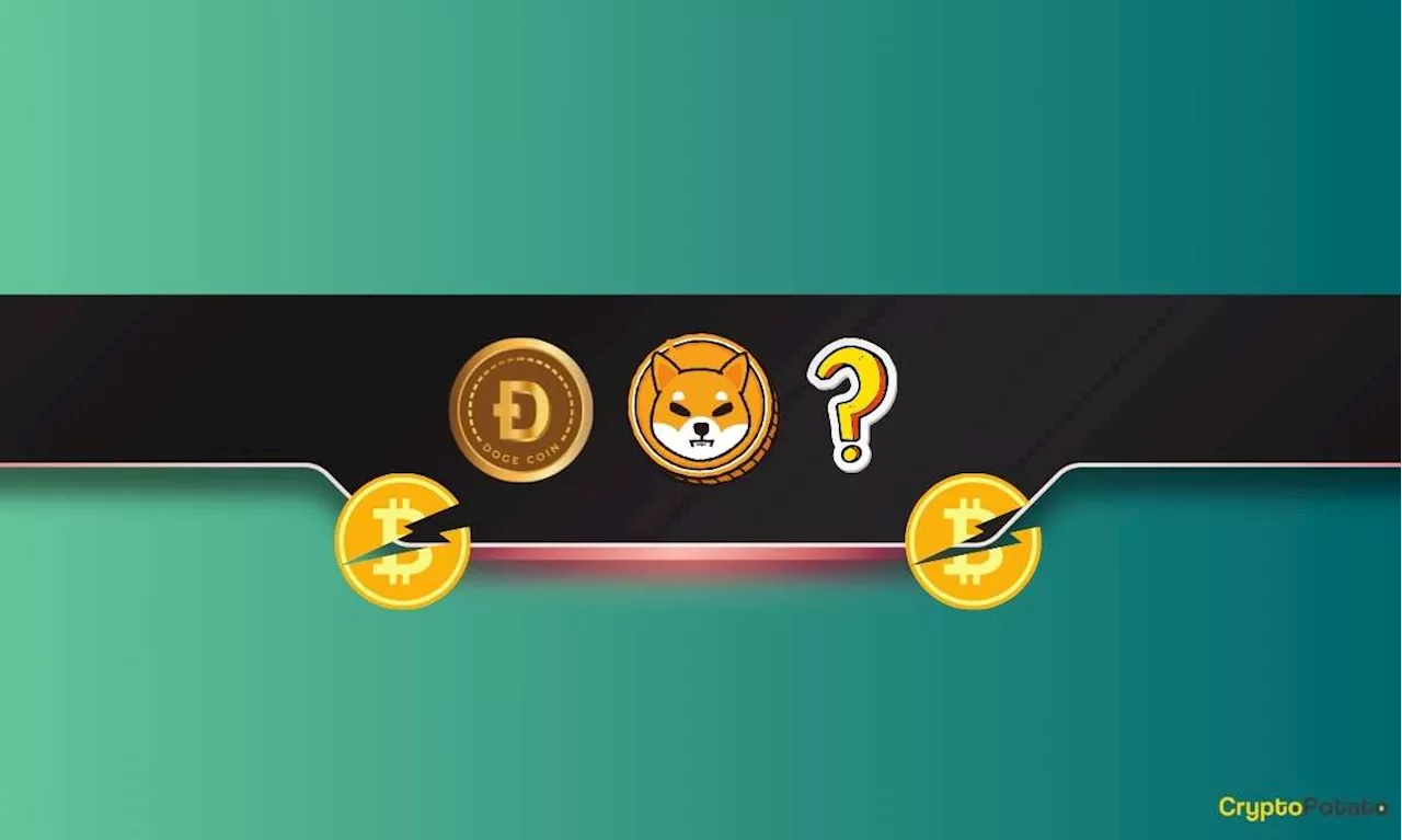 ChatGPT Analyzes Which Meme Coin Will Perform the Best After the Bitcoin (BTC) Halving