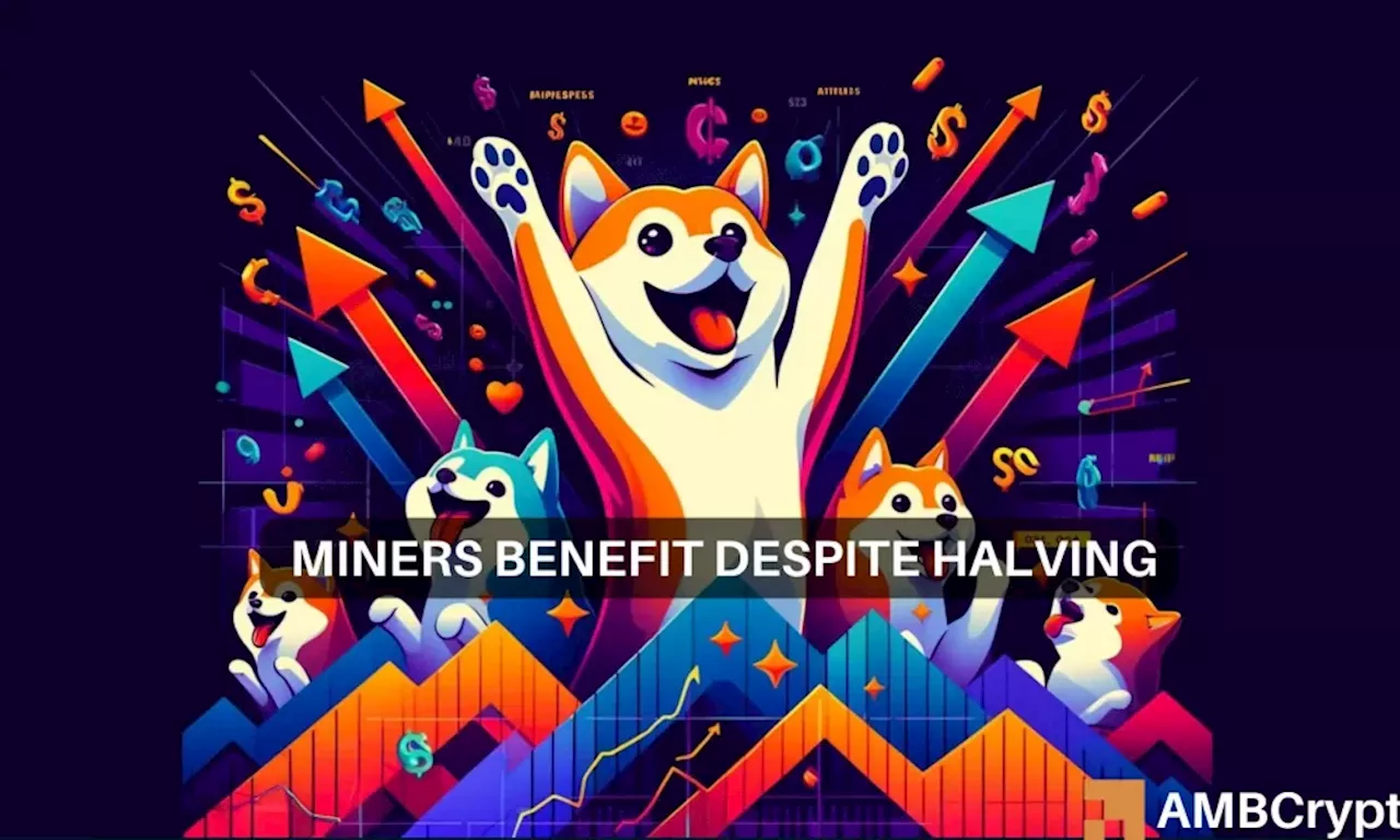 Shiba Inu surges 18% in 24 hours: Did the Bitcoin halving help SHIB rally?