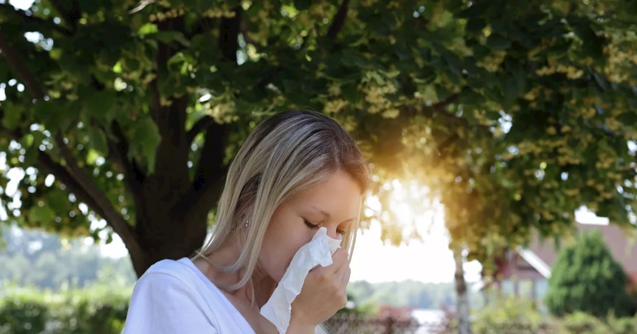 Difference between a cold and hay fever as expert shares how to ease symptoms