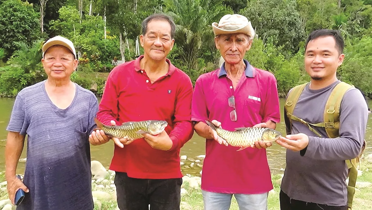 200kg Pelian from P’pang Tagal