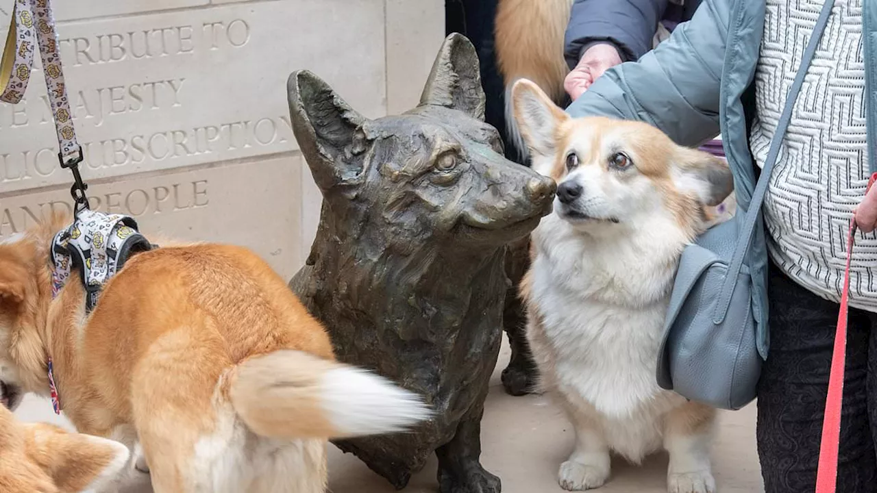 Historic moment first memorial statue to the late Queen is unveiled