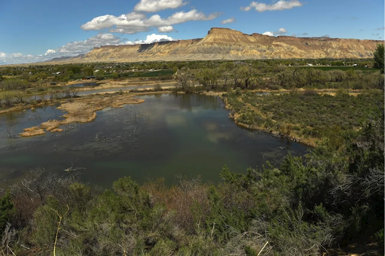 Legislators have a clear choice if they want to protect Colorado’s streams and wetlands