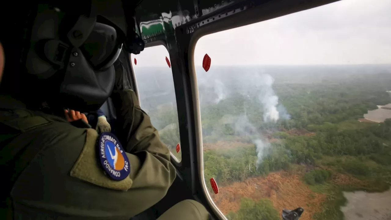 Fuerza Aérea Colombiana apoyó extinción de incendio en Parque Isla Salamanca