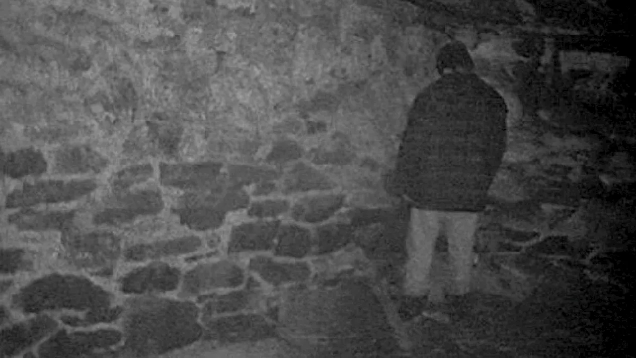 Blair Witch Project's Cast Wants Lionsgate to Give Them Their Due