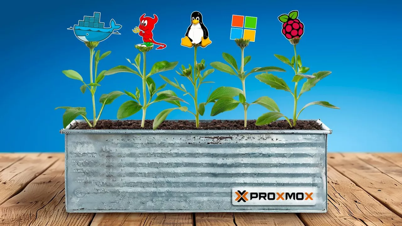 Virtualisierung: Wie man Proxmox Virtual Environment produktiv nutzt