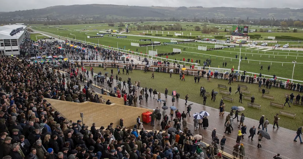 Cheltenham rip-off as hotel prices show why Irish punters are opting for Aintree